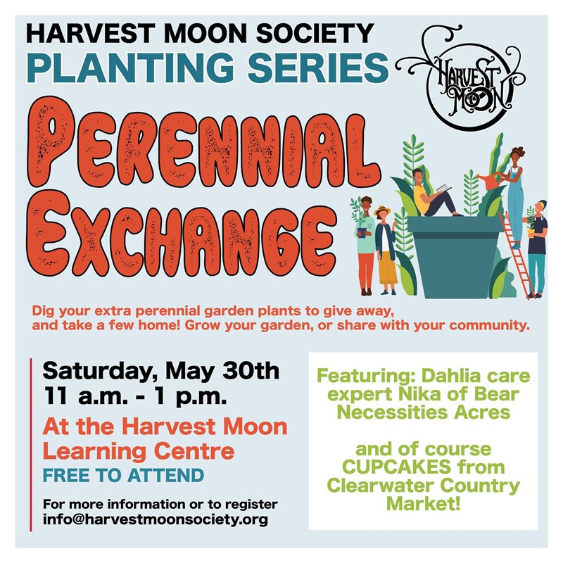 Harvest_moon_perinnial_exchange_2026