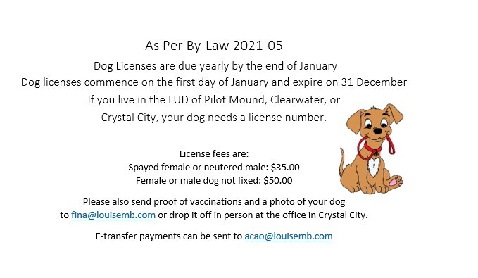 dog_license_1
